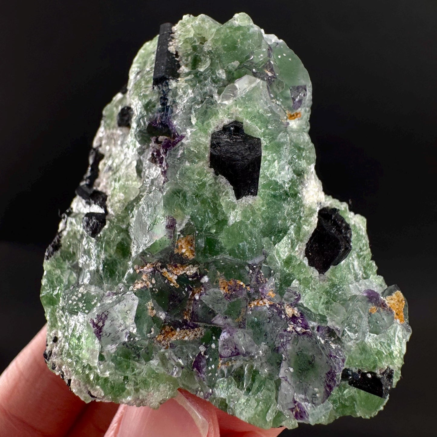 Fluorite w/ Schorl, & Muscovite | Lollipop Pocket, green crystal cluster, mineral specimen from Namibia