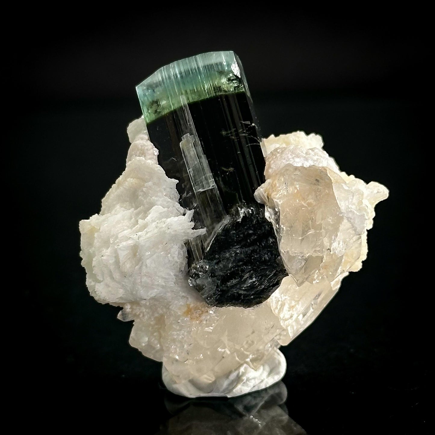 Blue-Green Cap Tourmaline with Albite & Quartz | Bi-Color Elbaite Crystal, Mineral Specimen from Pakistan
