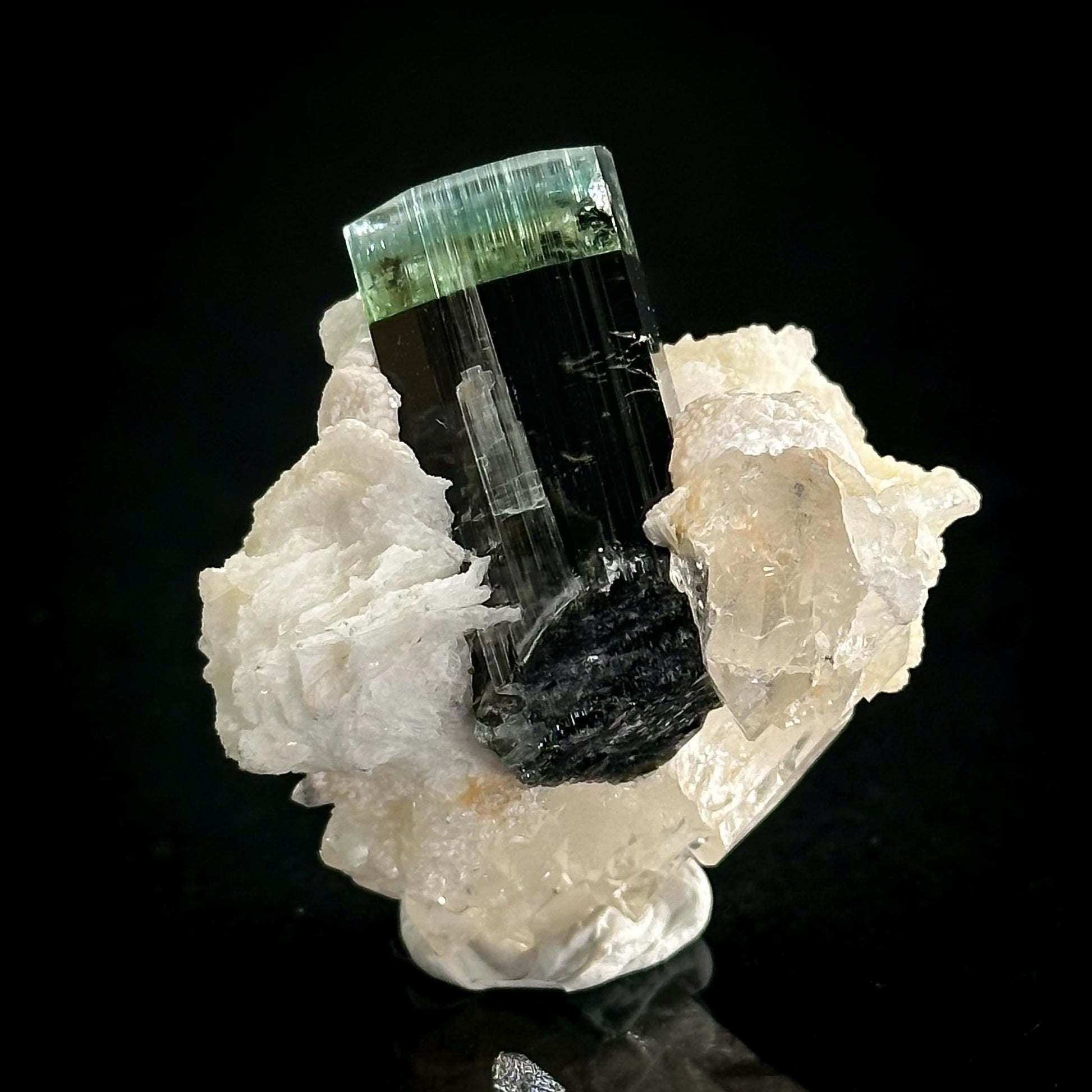 Blue-Green Cap Tourmaline with Albite & Quartz | Bi-Color Elbaite Crystal, Mineral Specimen from Pakistan