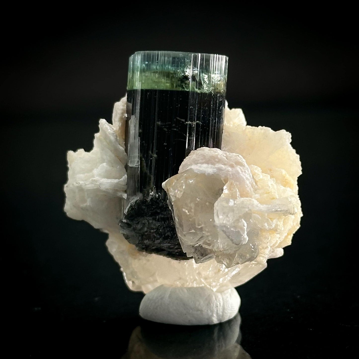 Blue-Green Cap Tourmaline with Albite & Quartz | Bi-Color Elbaite Crystal, Mineral Specimen from Pakistan