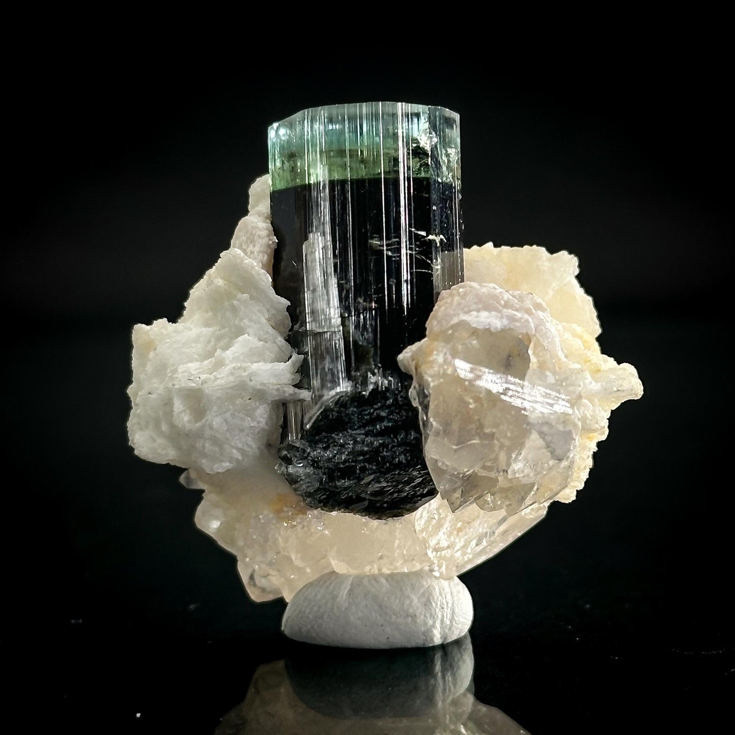 Blue-Green Cap Tourmaline with Albite & Quartz | Bi-Color Elbaite Crystal, Mineral Specimen from Pakistan