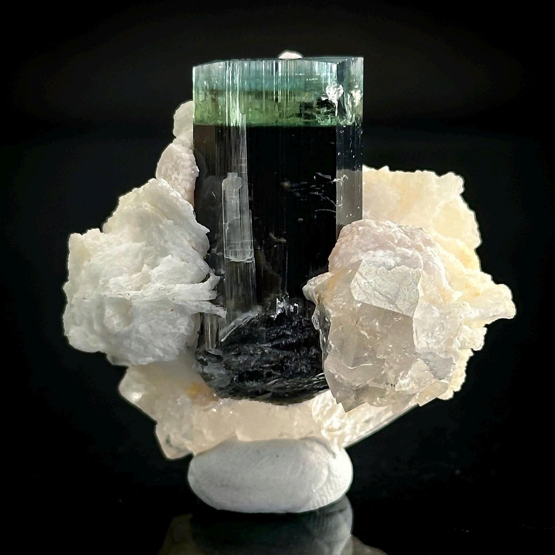 Blue-Green Cap Tourmaline with Albite & Quartz | Bi-Color Elbaite Crystal, Mineral Specimen from Pakistan