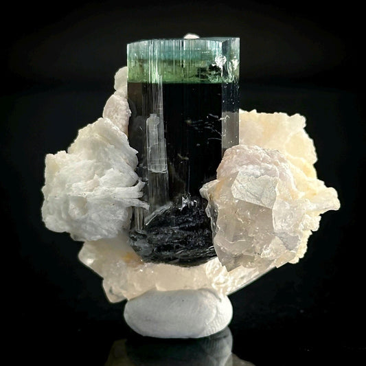Blue-Green Cap Tourmaline with Albite & Quartz | Bi-Color Elbaite Crystal, Mineral Specimen from Pakistan