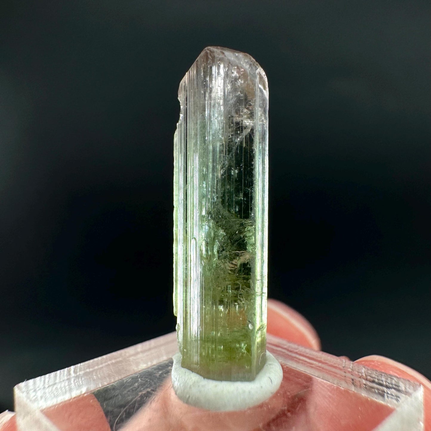 Watermelon Tourmaline | Green & Pink Bi-Color Elbaite Crystal, mineral specimen from Paprok