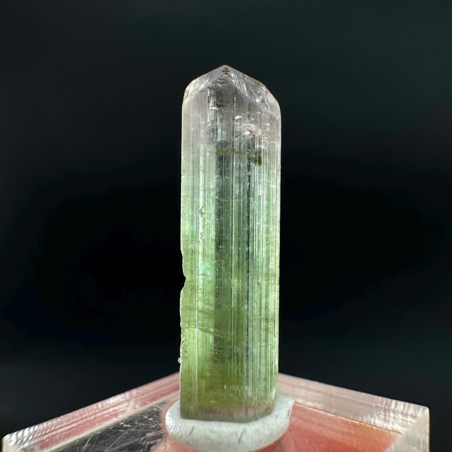 Watermelon Tourmaline | Green & Pink Bi-Color Elbaite Crystal, mineral specimen from Paprok