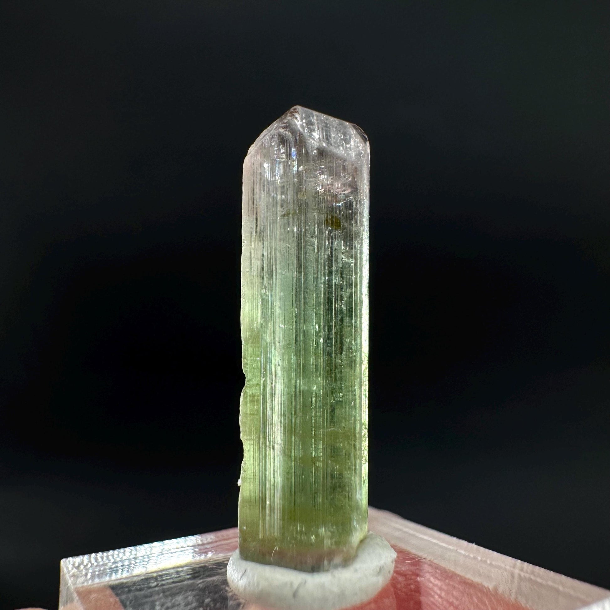 Watermelon Tourmaline | Green & Pink Bi-Color Elbaite Crystal, mineral specimen from Paprok