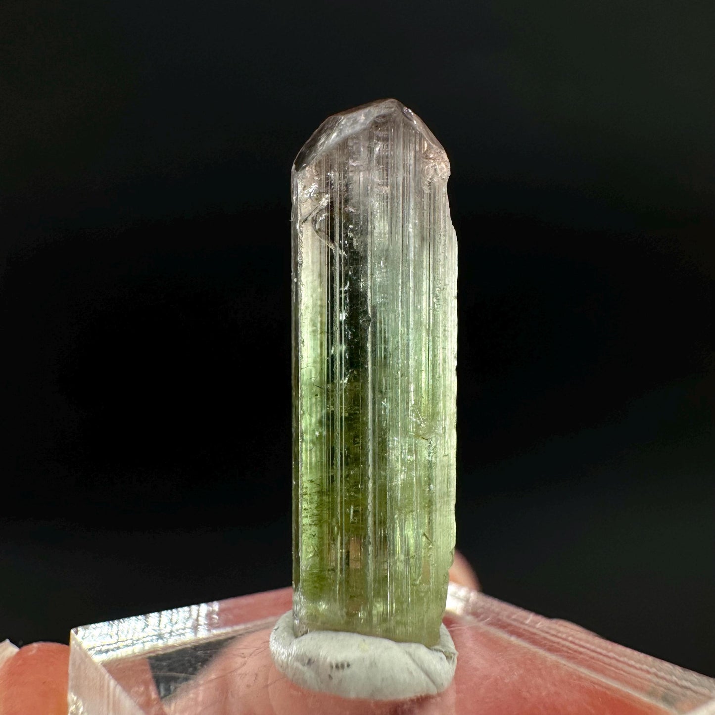 Watermelon Tourmaline | Green & Pink Bi-Color Elbaite Crystal, mineral specimen from Paprok