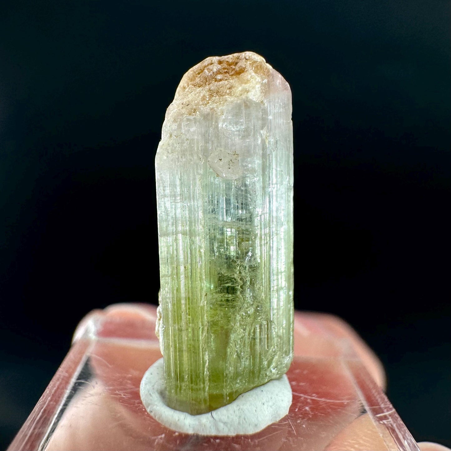 Watermelon Tourmaline | Green & Pink Bi-Color Elbaite Crystal, mineral specimen from Paprok