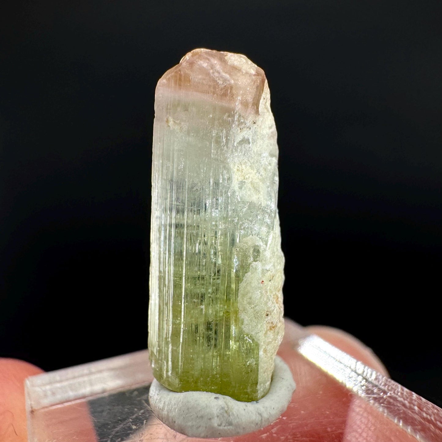 Watermelon Tourmaline | Green & Pink Bi-Color Elbaite Crystal, mineral specimen from Paprok