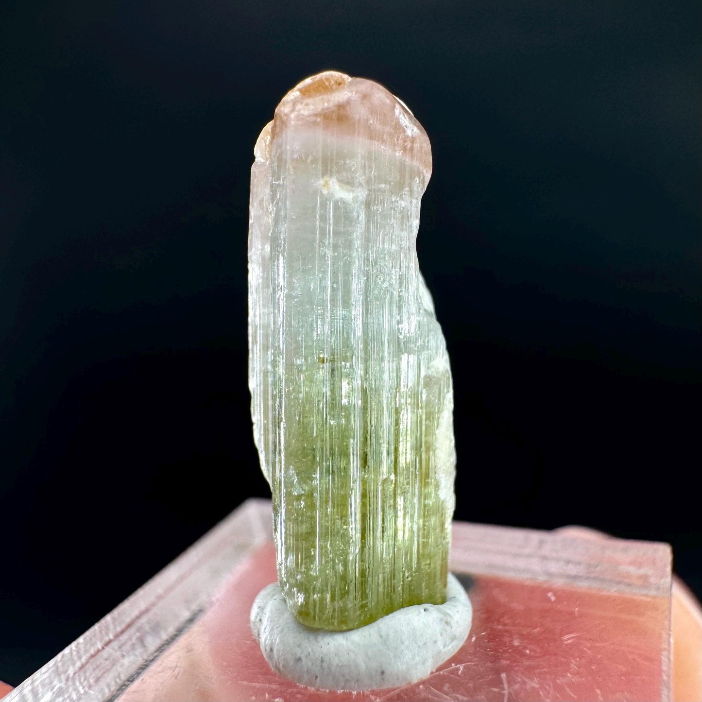 Watermelon Tourmaline | Green & Pink Bi-Color Elbaite Crystal, mineral specimen from Paprok