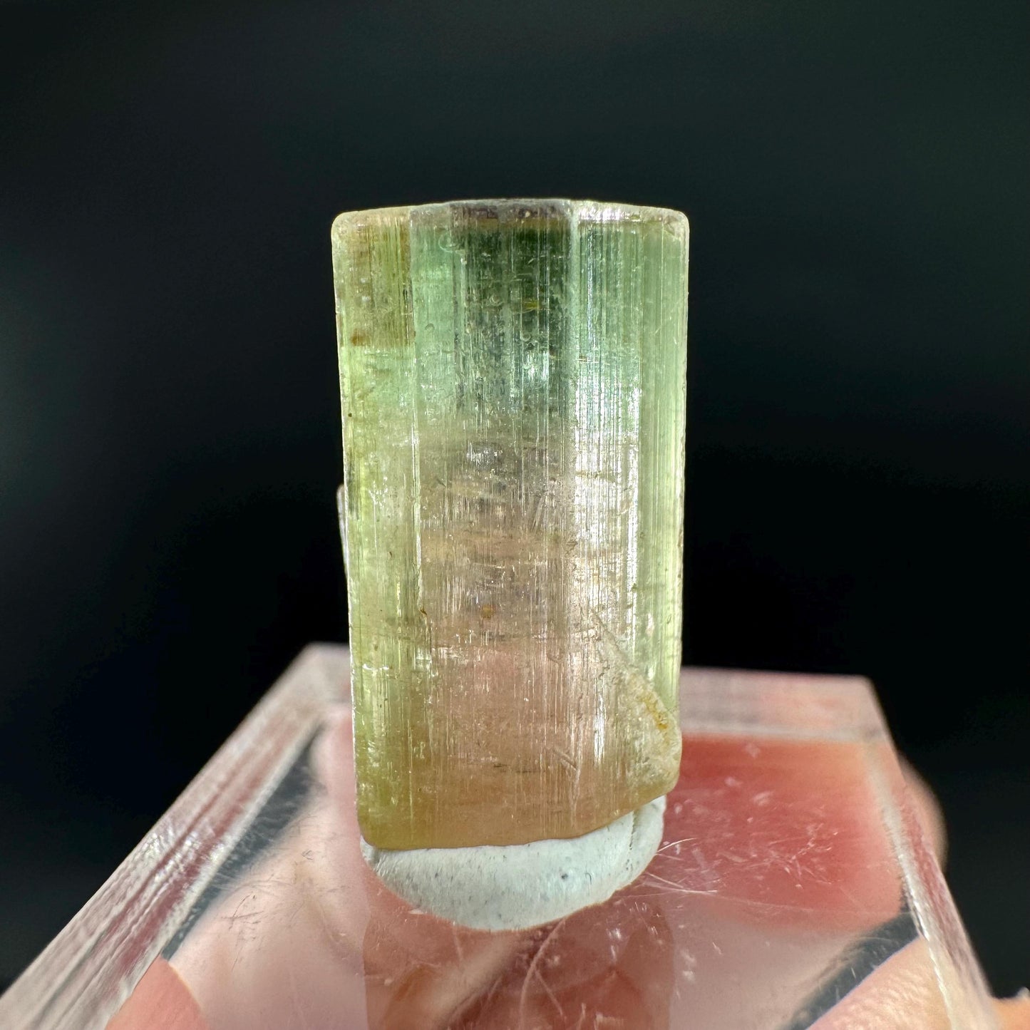 Watermelon Tourmaline | Green & Pink Bi-Color Elbaite Crystal, mineral specimen from Paprok