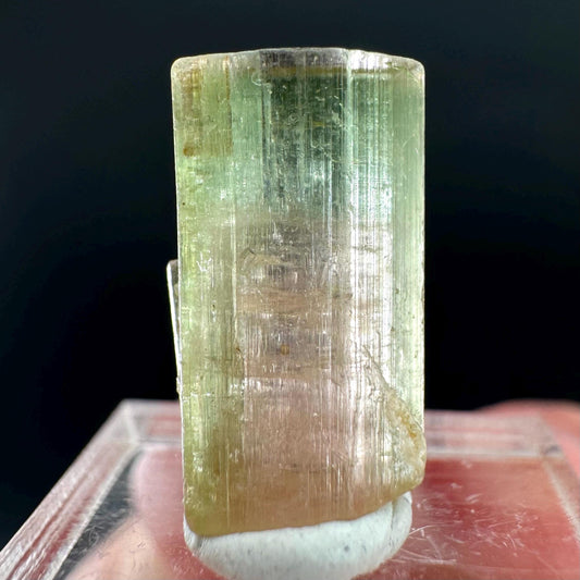 Watermelon Tourmaline | Green & Pink Bi-Color Elbaite Crystal, mineral specimen from Paprok