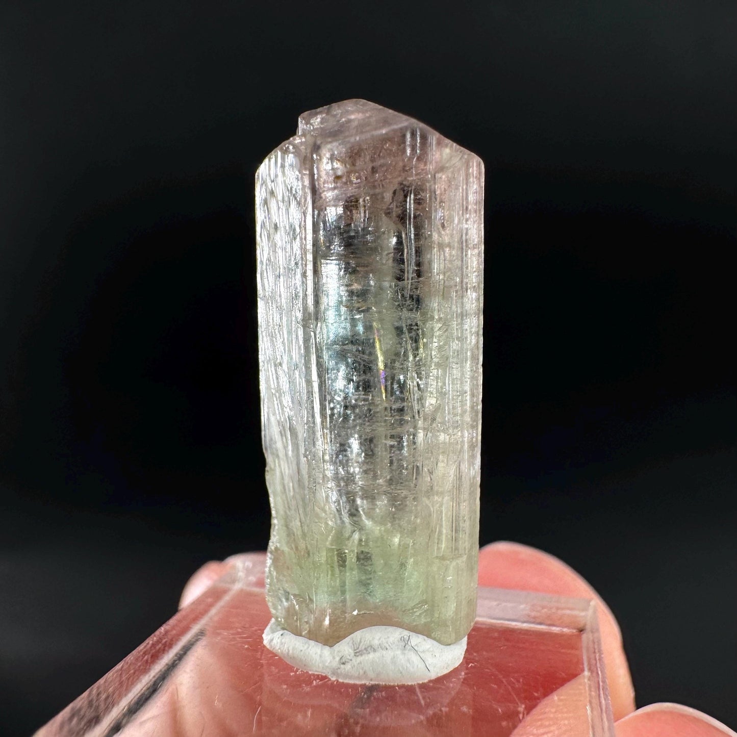 Watermelon Tourmaline | Green & Pink Bi-Color Elbaite Crystal, mineral specimen from Paprok