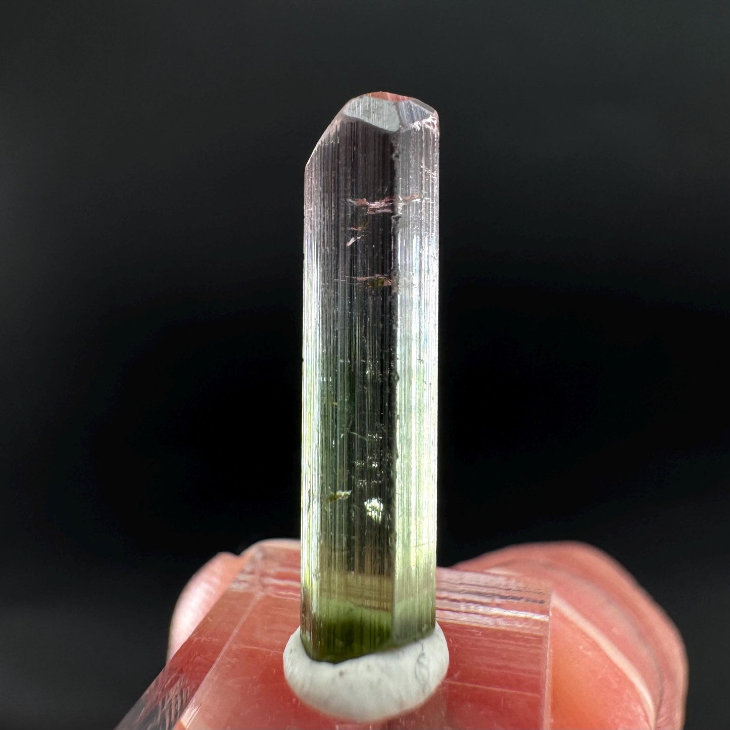 Watermelon Tourmaline | Green & Pink Bi-Color Elbaite Crystal, mineral specimen from Paprok