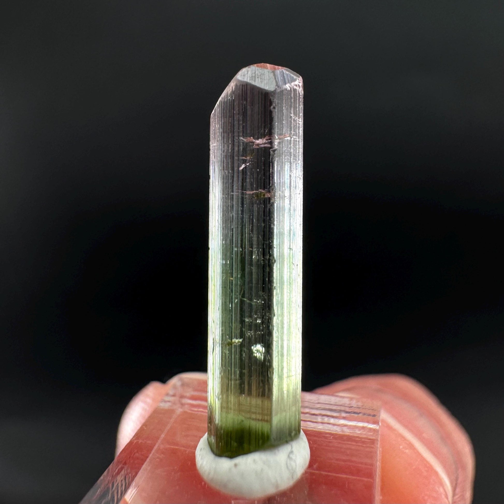 Watermelon Tourmaline | Green & Pink Bi-Color Elbaite Crystal, mineral specimen from Paprok