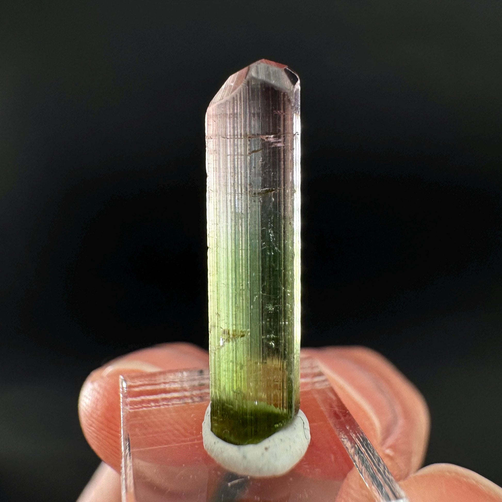 Watermelon Tourmaline | Green & Pink Bi-Color Elbaite Crystal, mineral specimen from Paprok