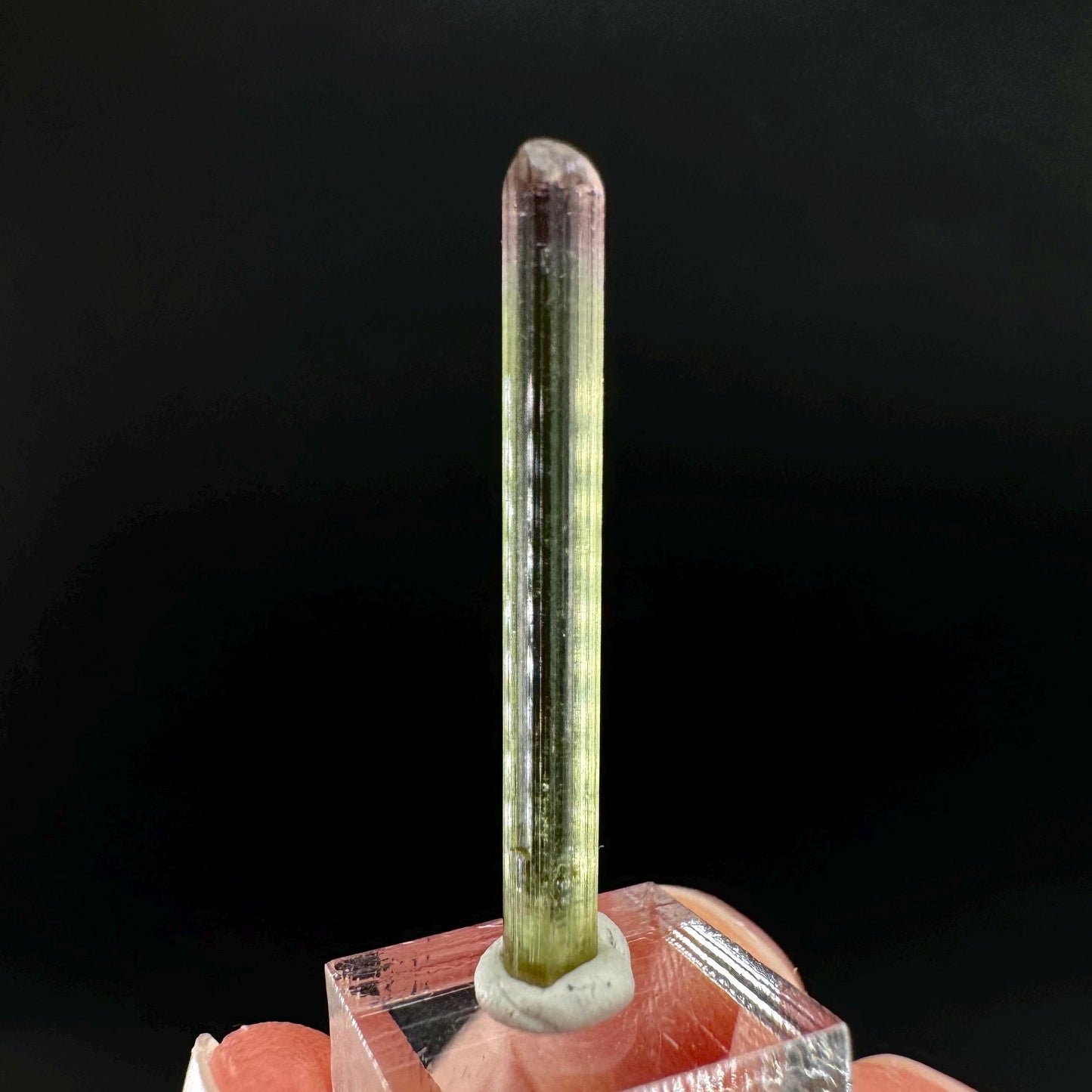 Watermelon Tourmaline | Green & Pink Bi-Color Elbaite Crystal, mineral specimen from Paprok