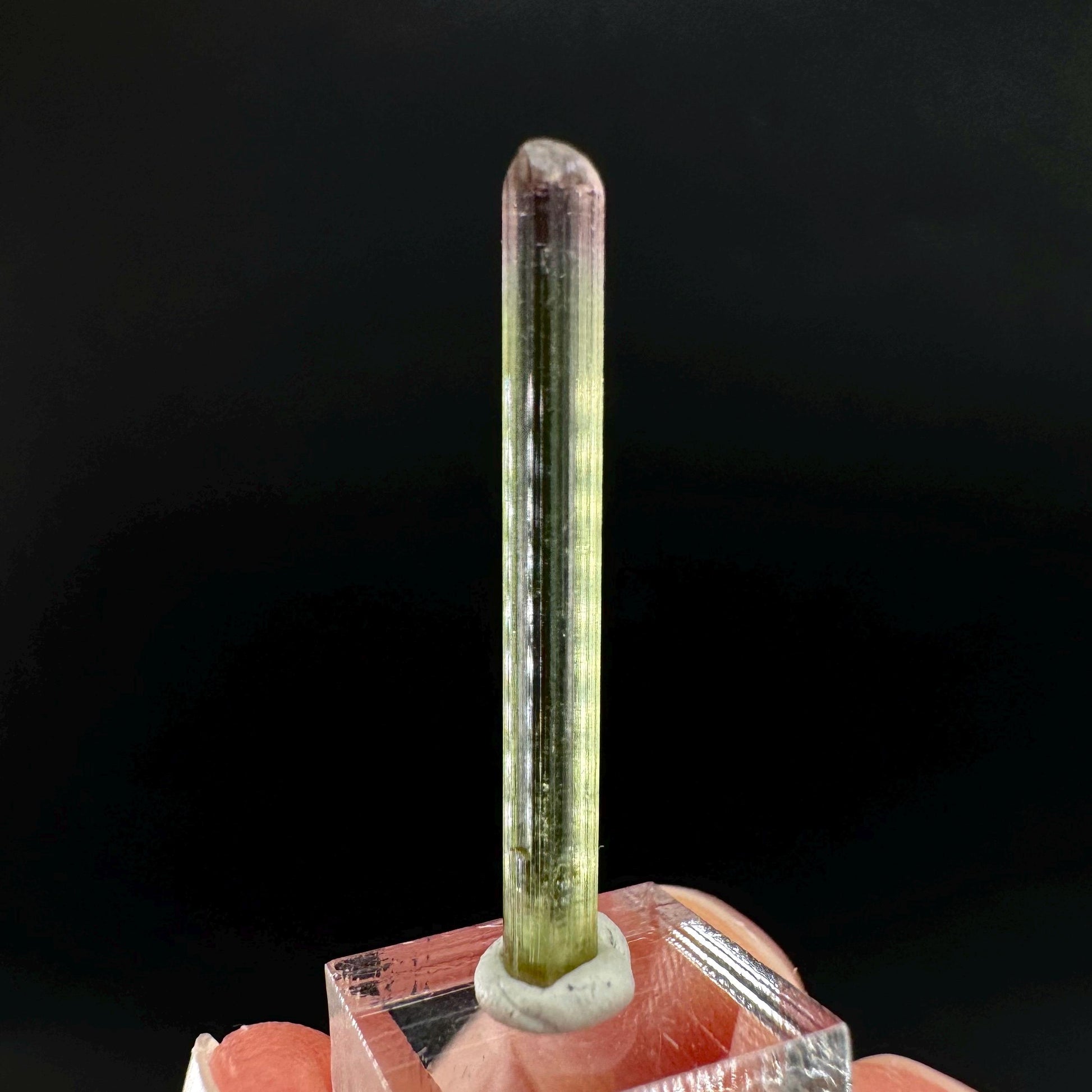 Watermelon Tourmaline | Green & Pink Bi-Color Elbaite Crystal, mineral specimen from Paprok