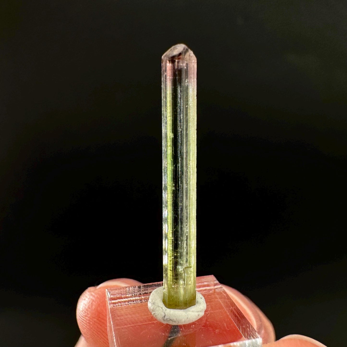 Watermelon Tourmaline | Green & Pink Bi-Color Elbaite Crystal, mineral specimen from Paprok