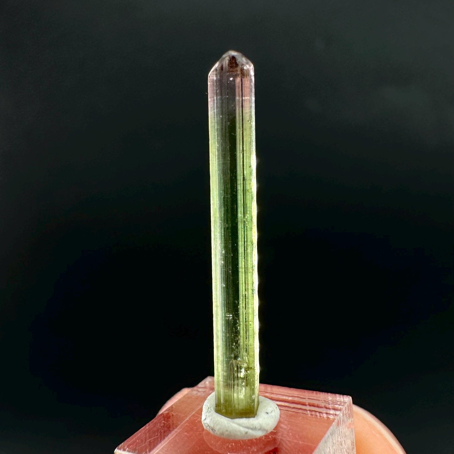 Watermelon Tourmaline | Green & Pink Bi-Color Elbaite Crystal, mineral specimen from Paprok