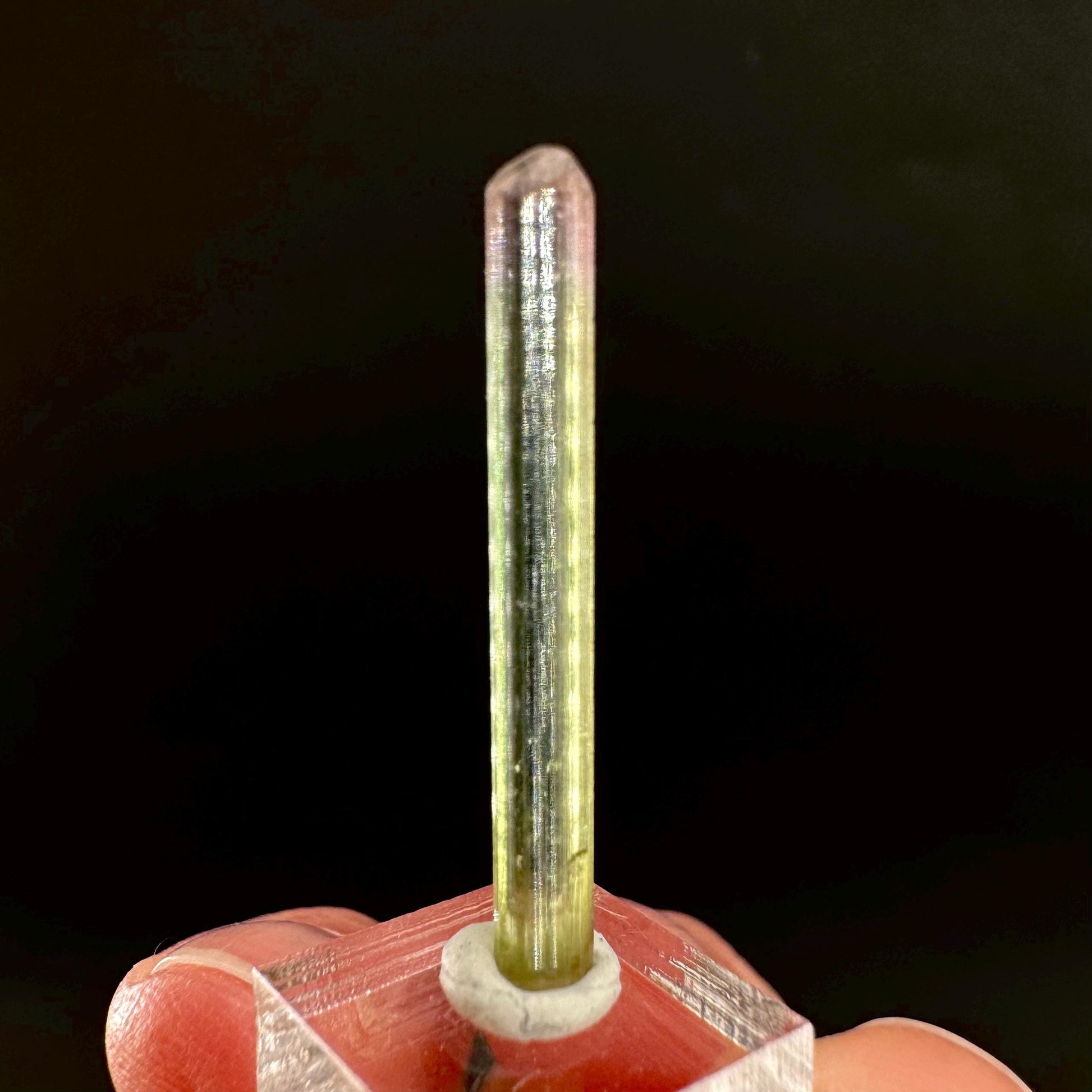 Watermelon Tourmaline | Green & Pink Bi-Color Elbaite Crystal, mineral specimen from Paprok
