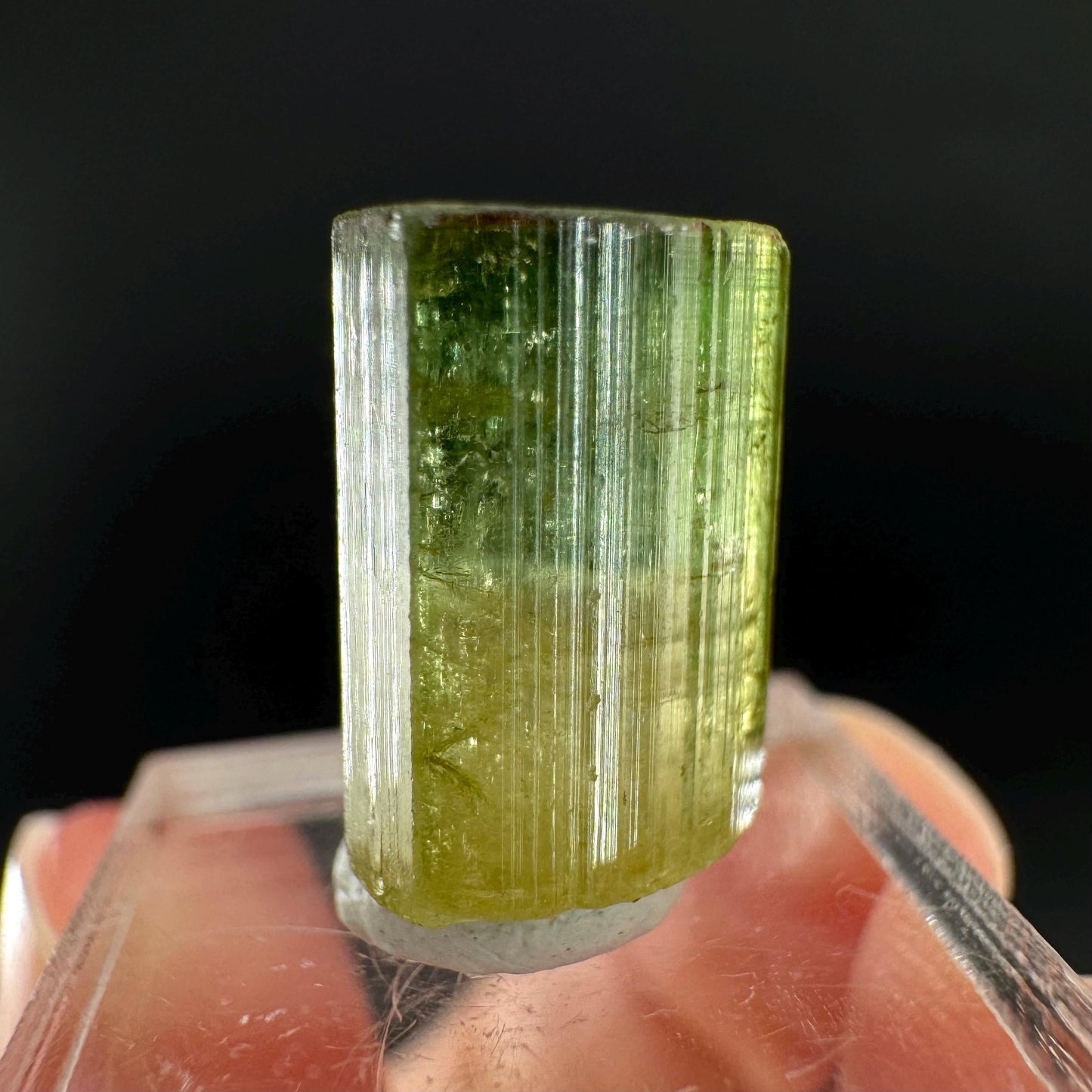 Watermelon Tourmaline | Green & Pink Bi-Color Elbaite Crystal, mineral specimen from Paprok
