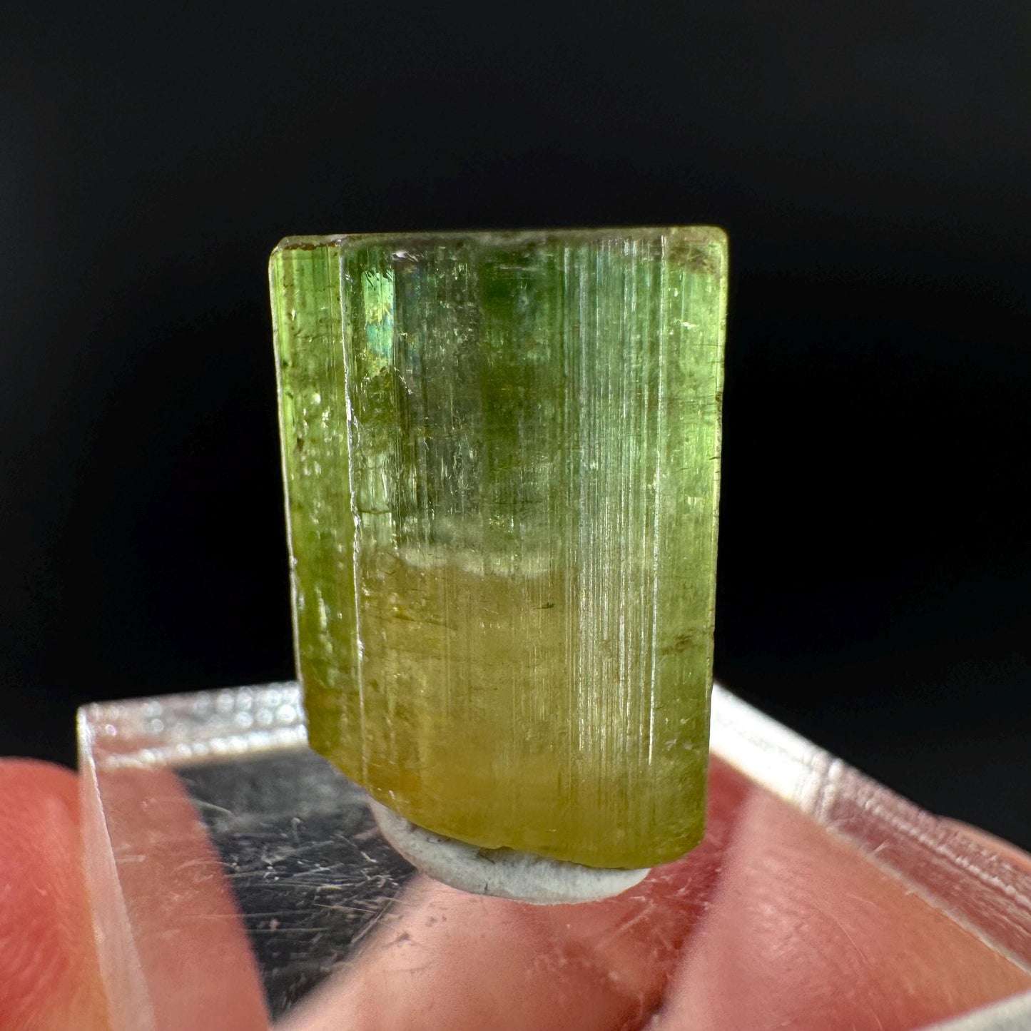 Watermelon Tourmaline | Green & Pink Bi-Color Elbaite Crystal, mineral specimen from Paprok