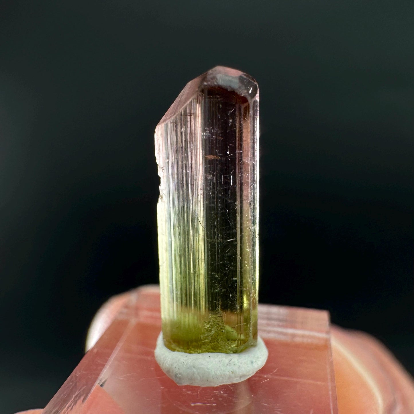 Watermelon Tourmaline | Green & Pink Bi-Color Elbaite Crystal, mineral specimen from Paprok
