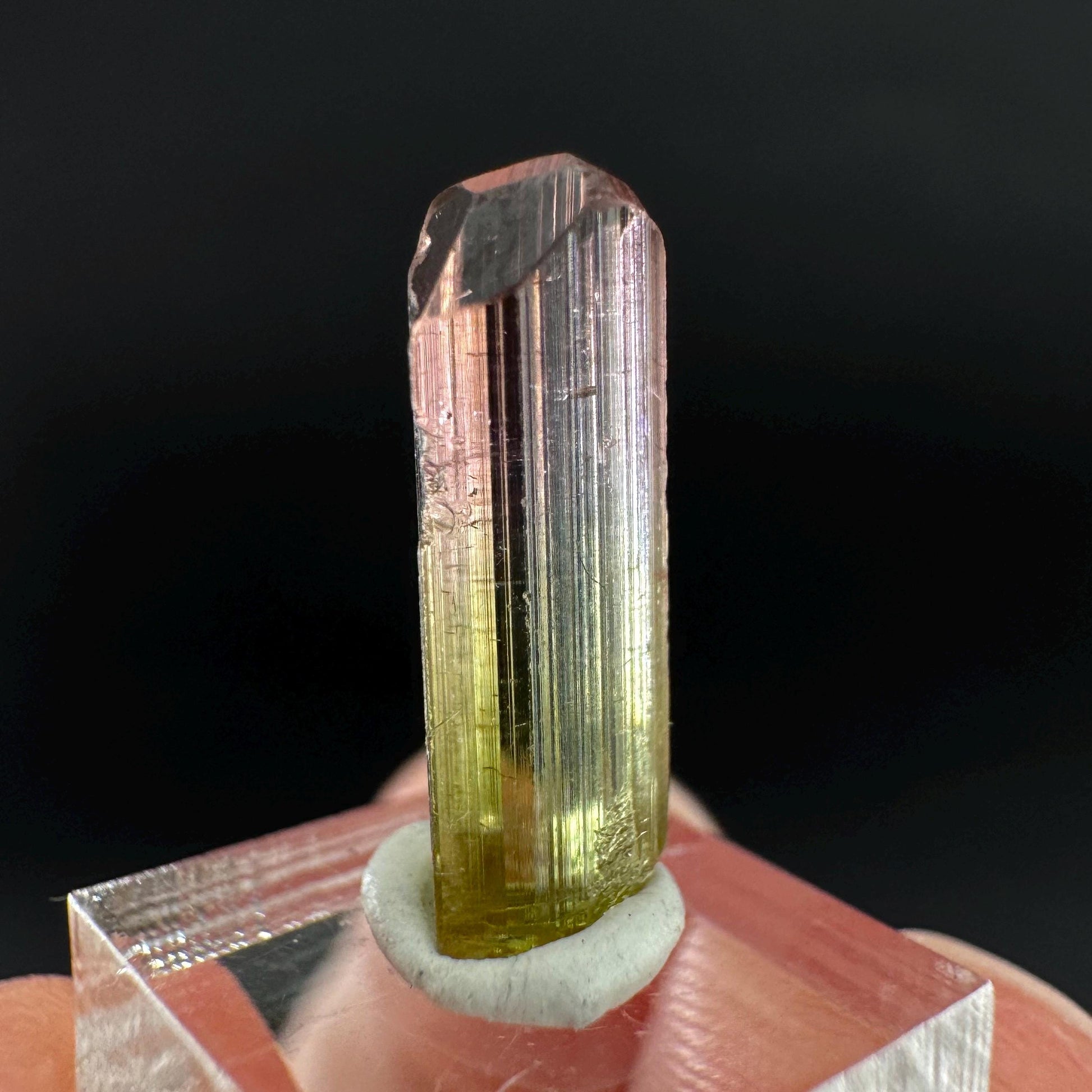 Watermelon Tourmaline | Green & Pink Bi-Color Elbaite Crystal, mineral specimen from Paprok