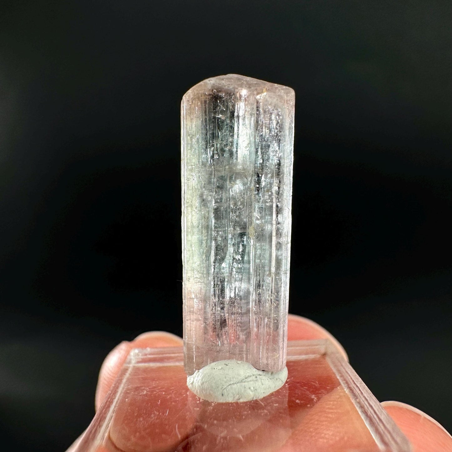 Elbaite Tourmaline | Pink & Blue Bi-Color Crystal, mineral specimen from Paprok
