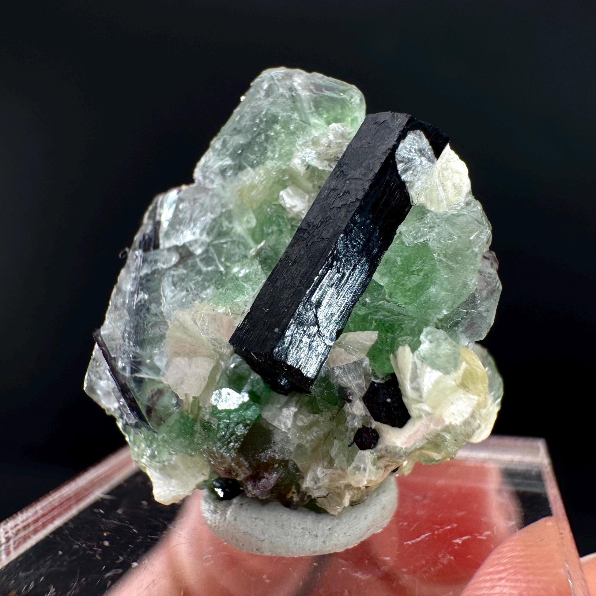 Fluorite w/ Schorl, & Muscovite | Lollipop Pocket, green crystal cluster, mineral specimen from Namibia