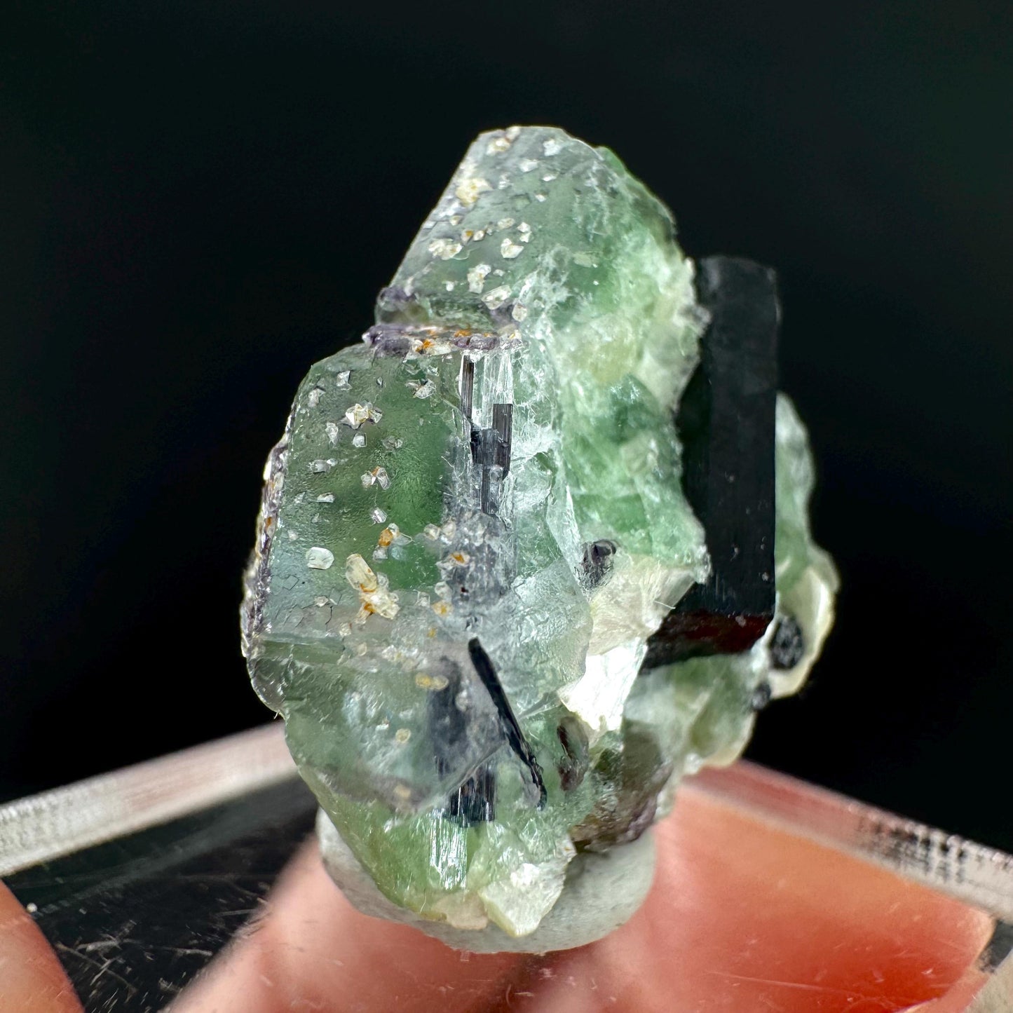 Fluorite w/ Schorl, & Muscovite | Lollipop Pocket, green crystal cluster, mineral specimen from Namibia