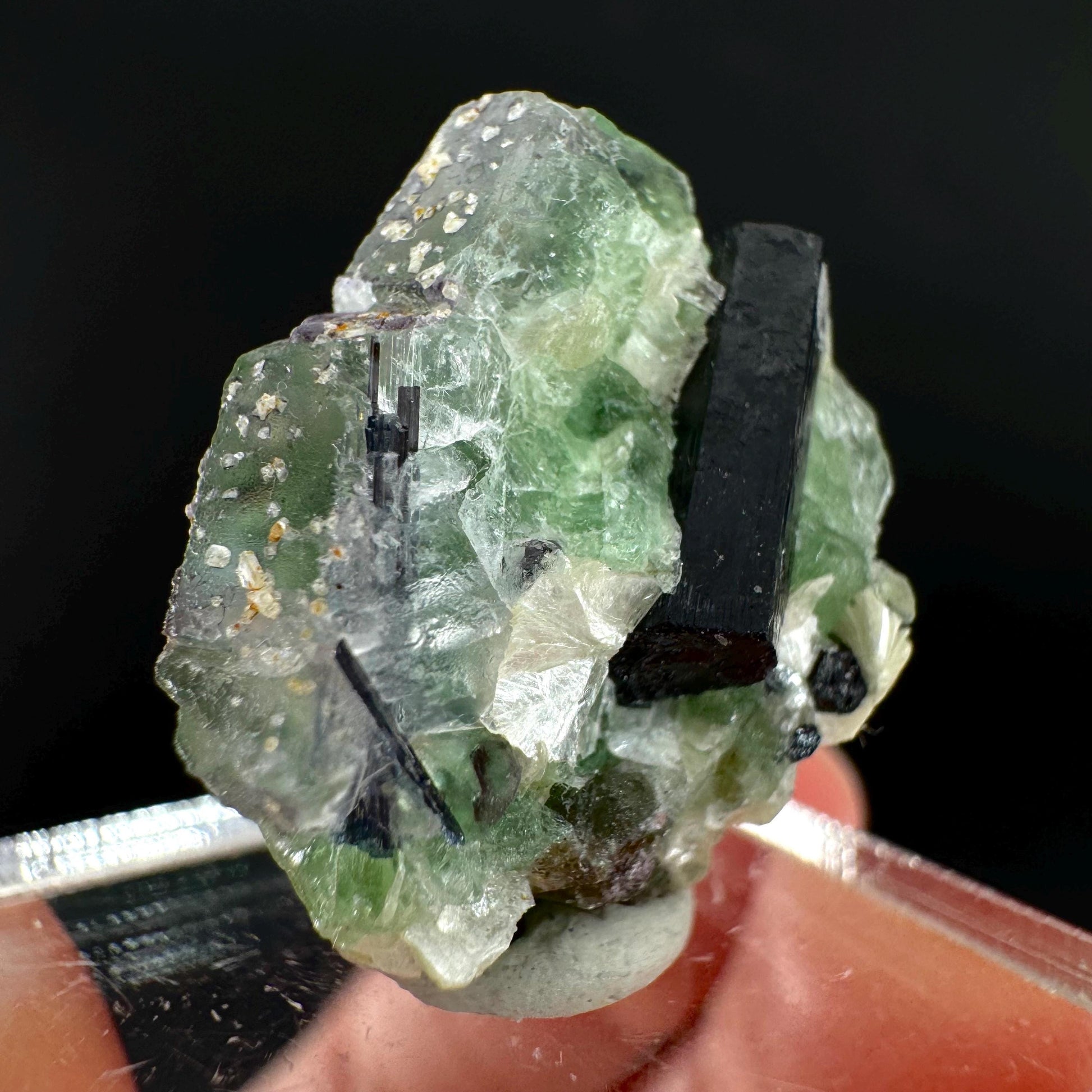 Fluorite w/ Schorl, & Muscovite | Lollipop Pocket, green crystal cluster, mineral specimen from Namibia