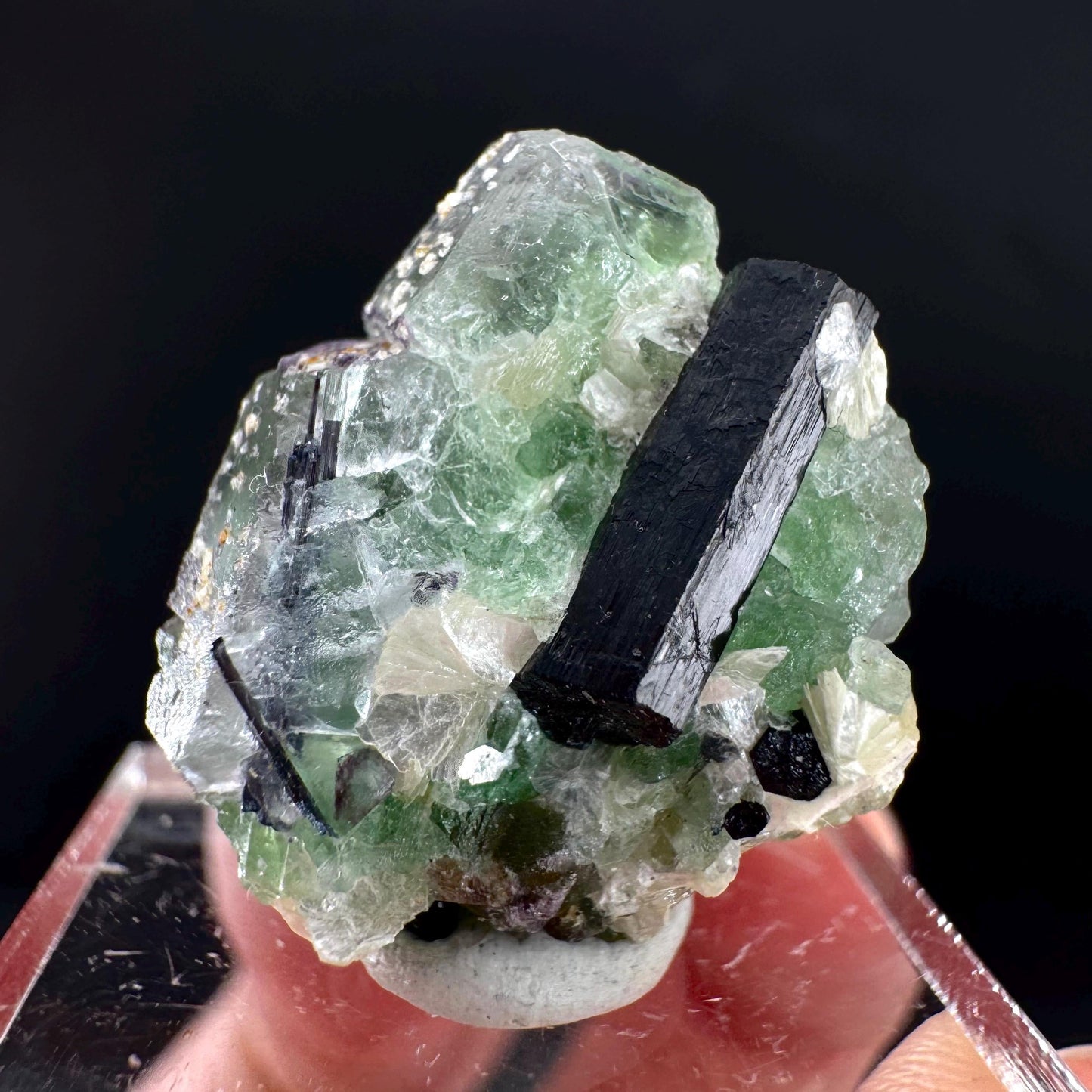Fluorite w/ Schorl, & Muscovite | Lollipop Pocket, green crystal cluster, mineral specimen from Namibia