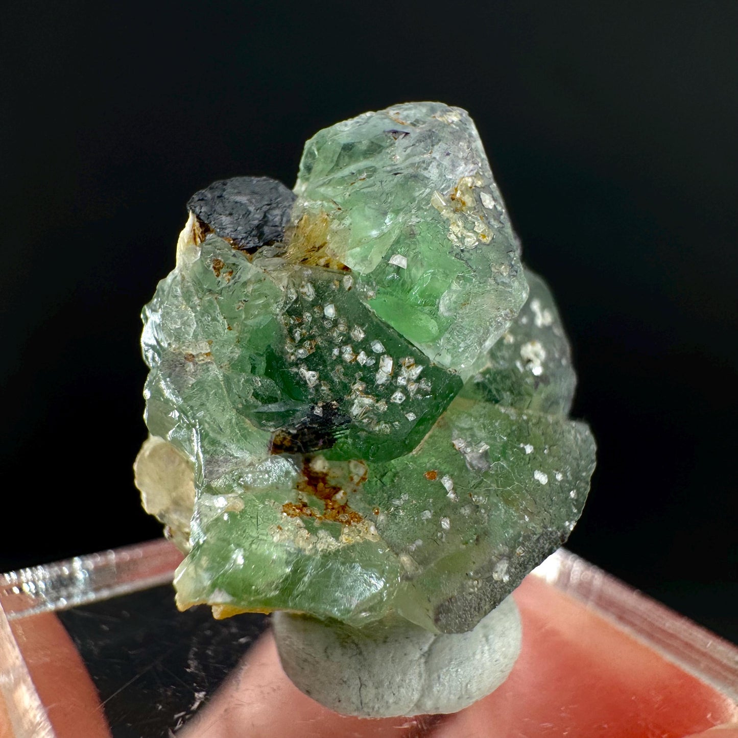 Fluorite w/ Schorl, & Muscovite | Lollipop Pocket, green crystal cluster, mineral specimen from Namibia