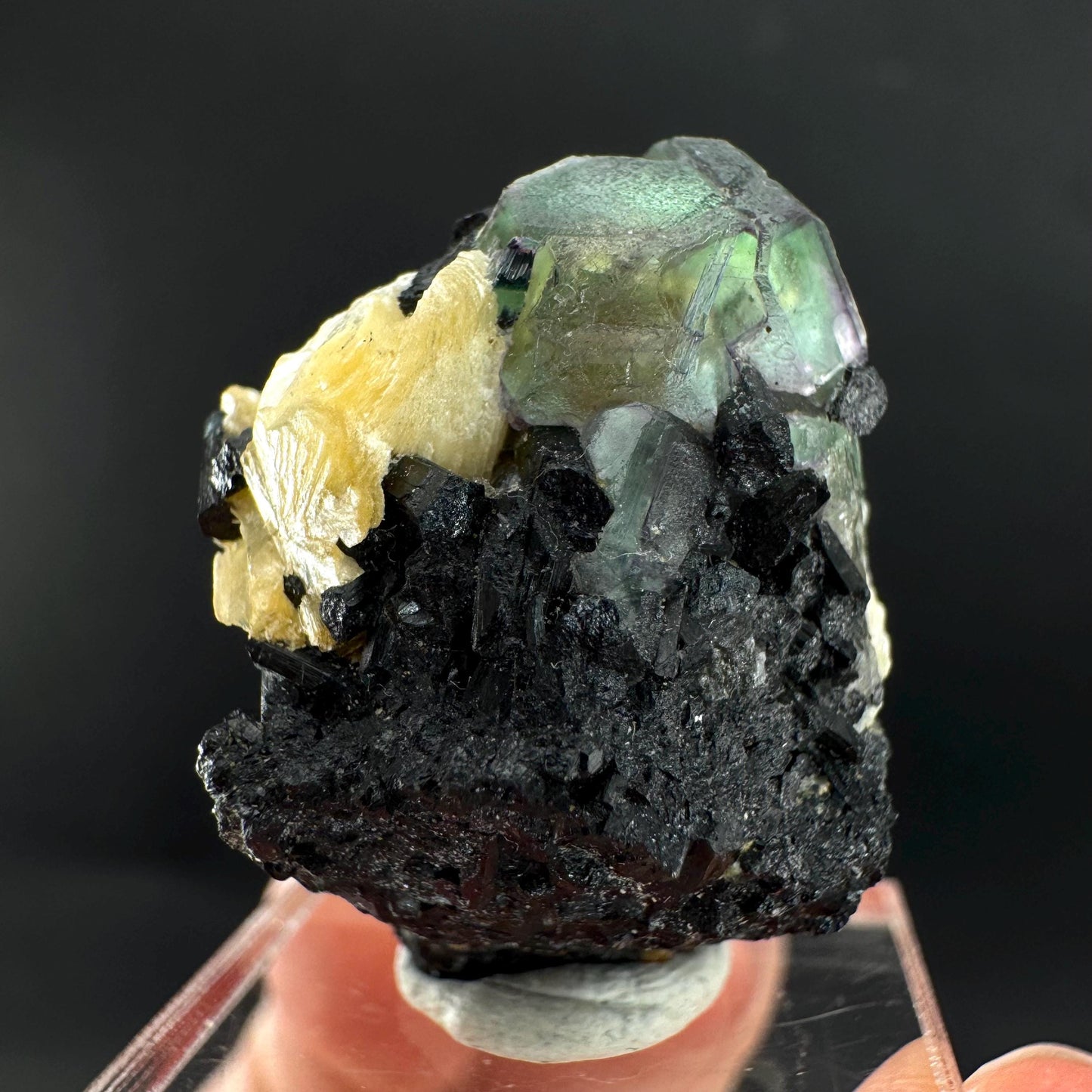 Fluorite w/ Schorl, & Muscovite | Lollipop Pocket, green crystal cluster, mineral specimen from Namibia