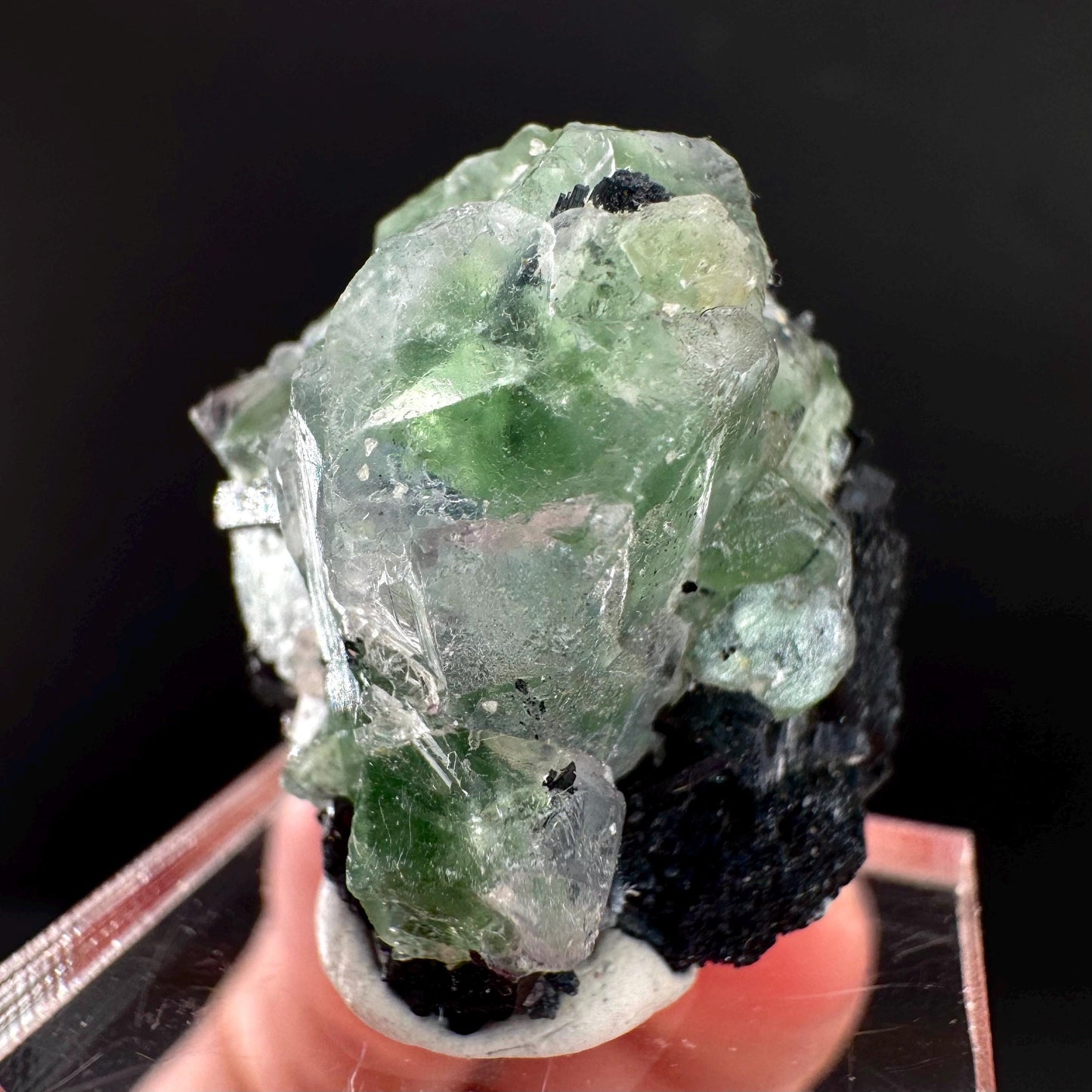 Fluorite w/ Black Tourmaline | Lollipop Pocket, green crystal, mineral specimen from Namibia