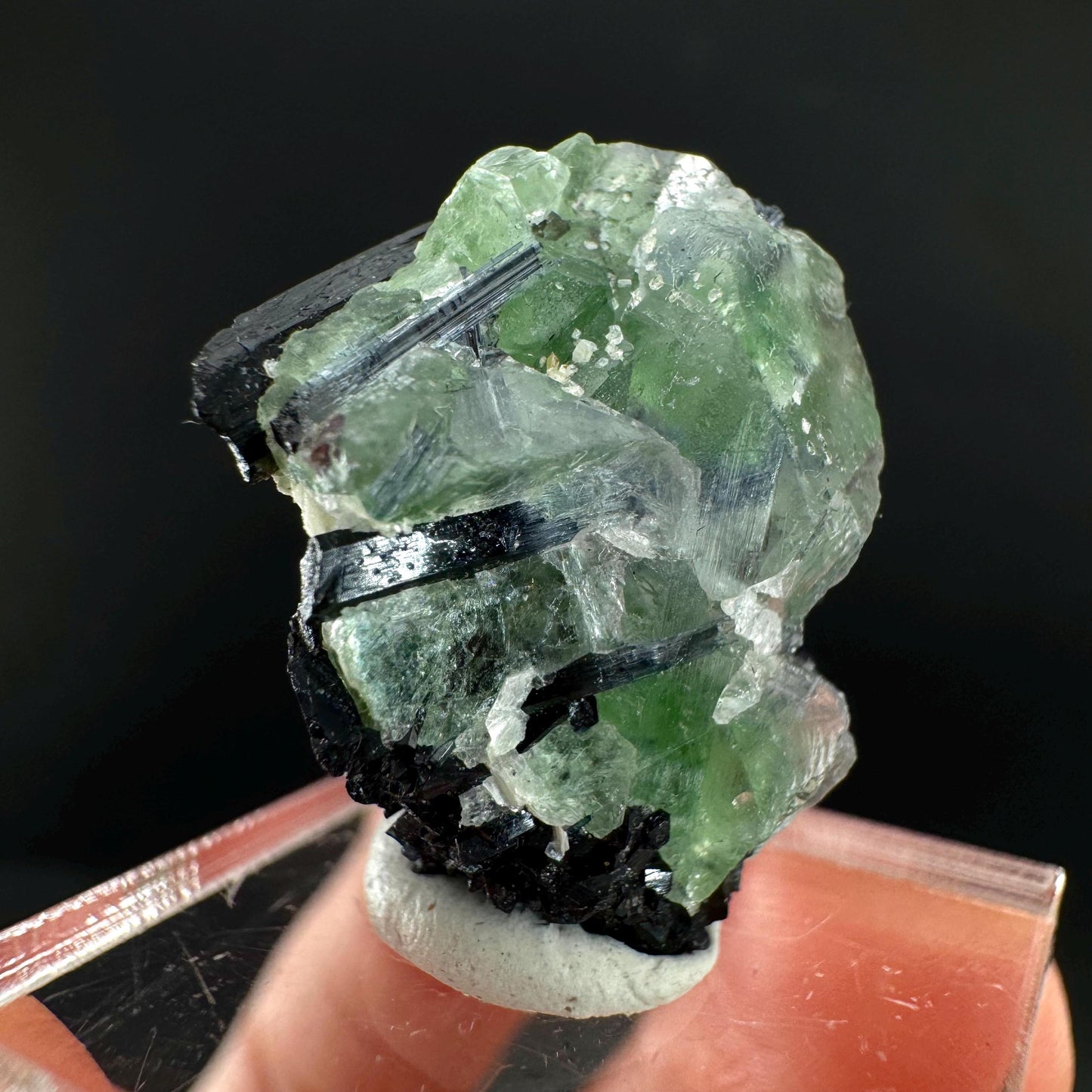Fluorite w/ Black Tourmaline | Lollipop Pocket, green crystal, mineral specimen from Namibia