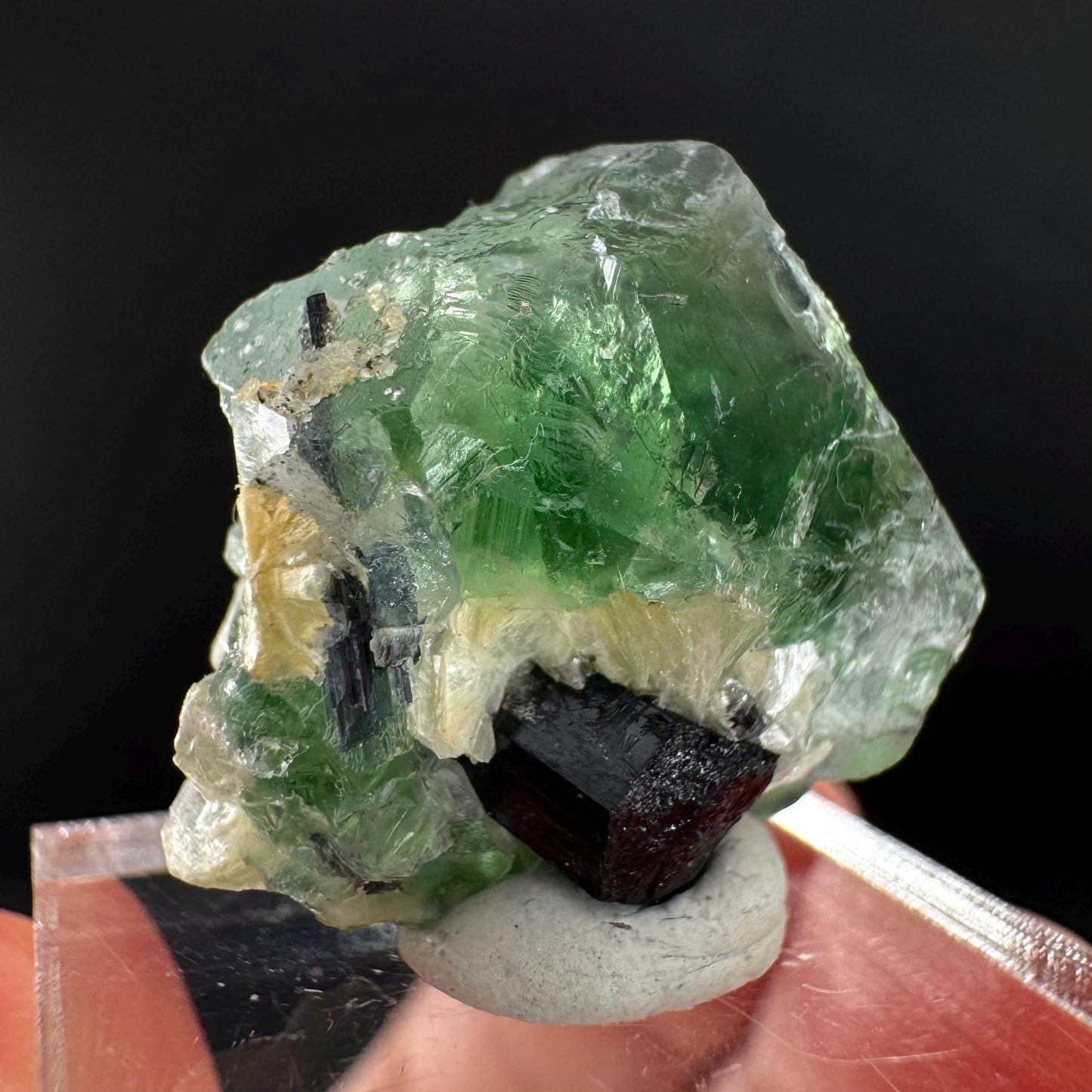 Fluorite w/ Schorl, & Muscovite | Lollipop Pocket, green crystal cluster, mineral specimen from Namibia