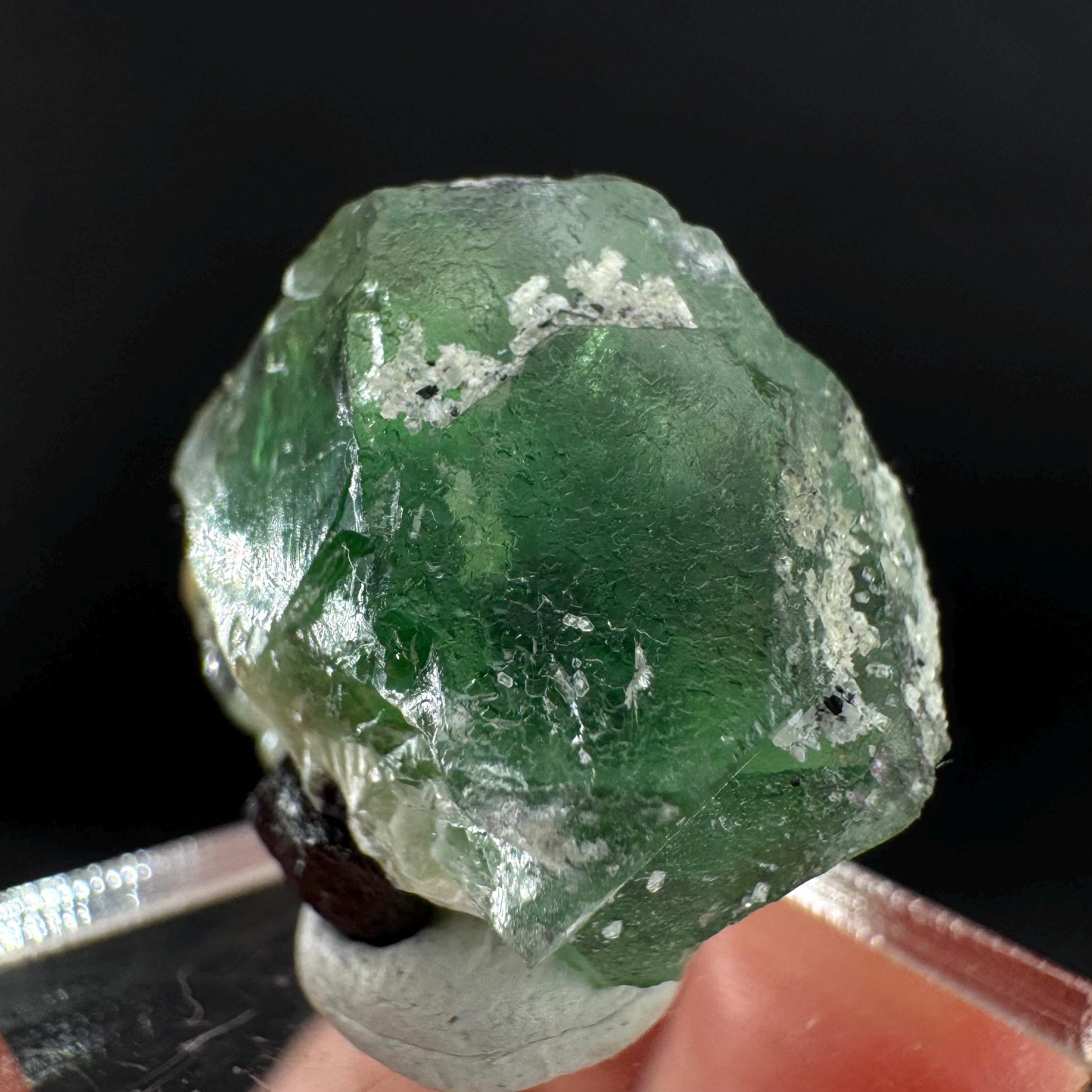 Fluorite w/ Schorl, & Muscovite | Lollipop Pocket, green crystal cluster, mineral specimen from Namibia