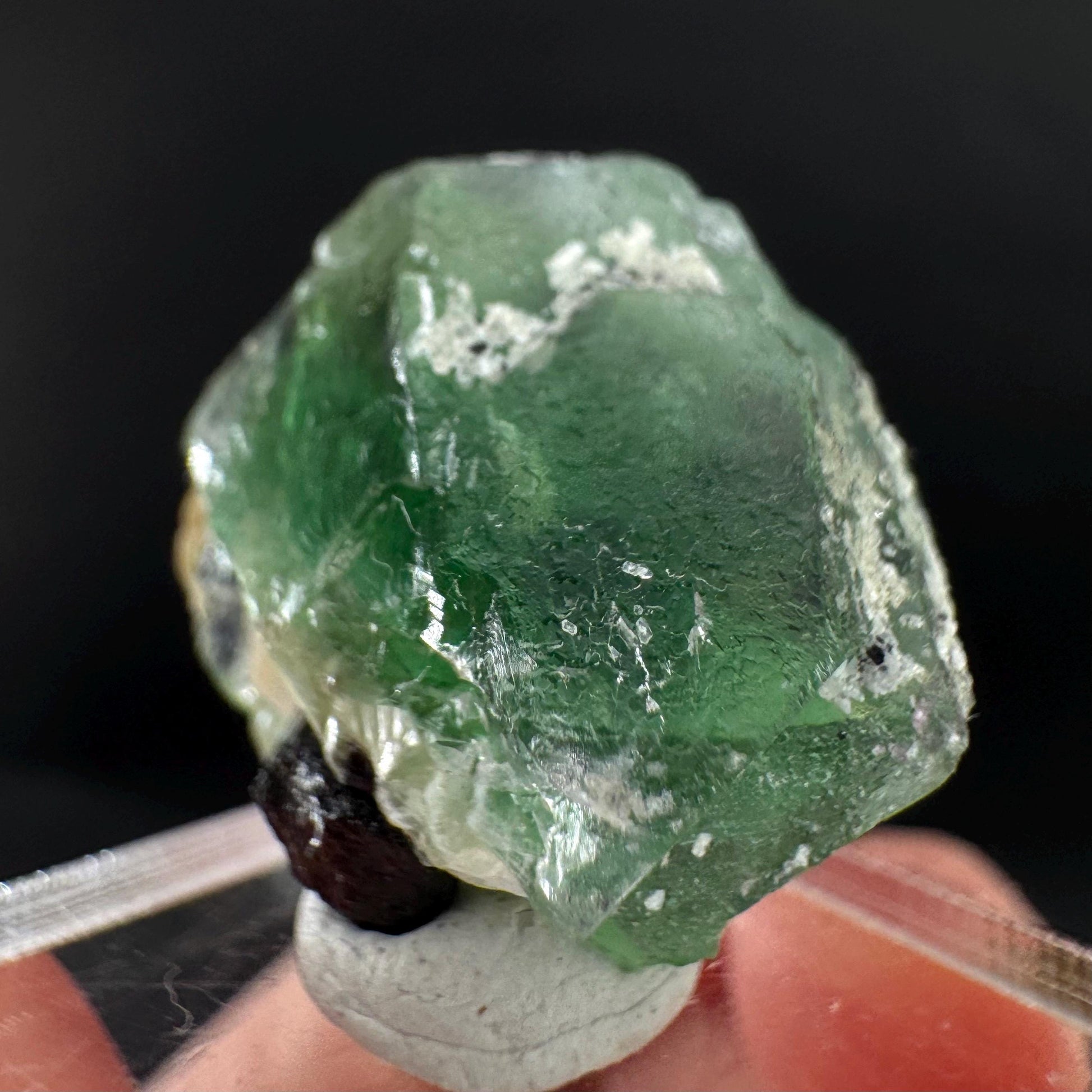 Fluorite w/ Schorl, & Muscovite | Lollipop Pocket, green crystal cluster, mineral specimen from Namibia
