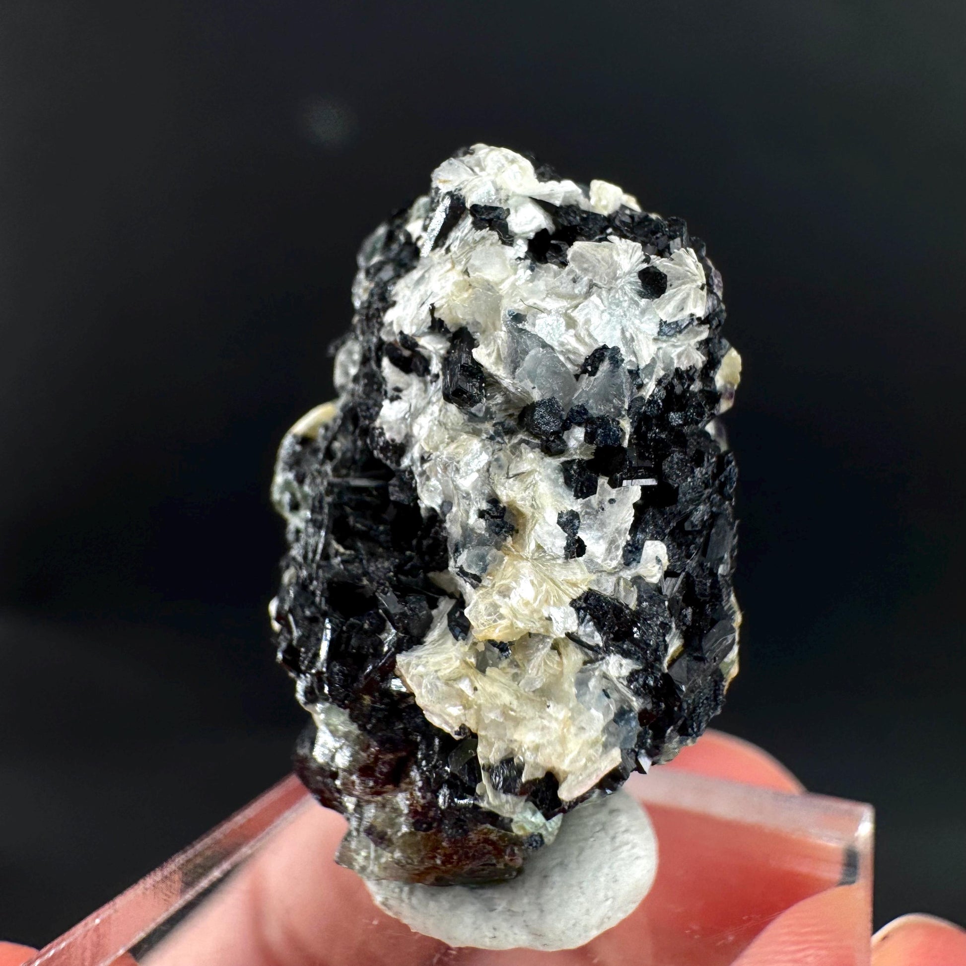 Fluorite w/ Schorl, & Muscovite | Lollipop Pocket, green crystal cluster, mineral specimen from Namibia
