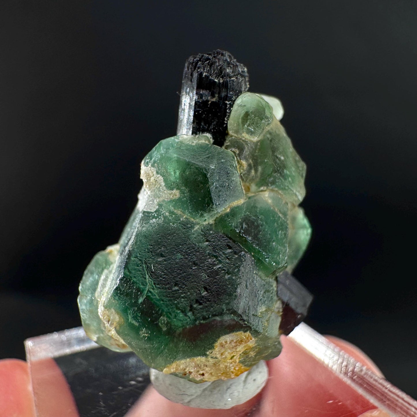 Fluorite w/ Black Tourmaline | Lollipop Pocket, green crystal, mineral specimen from Namibia