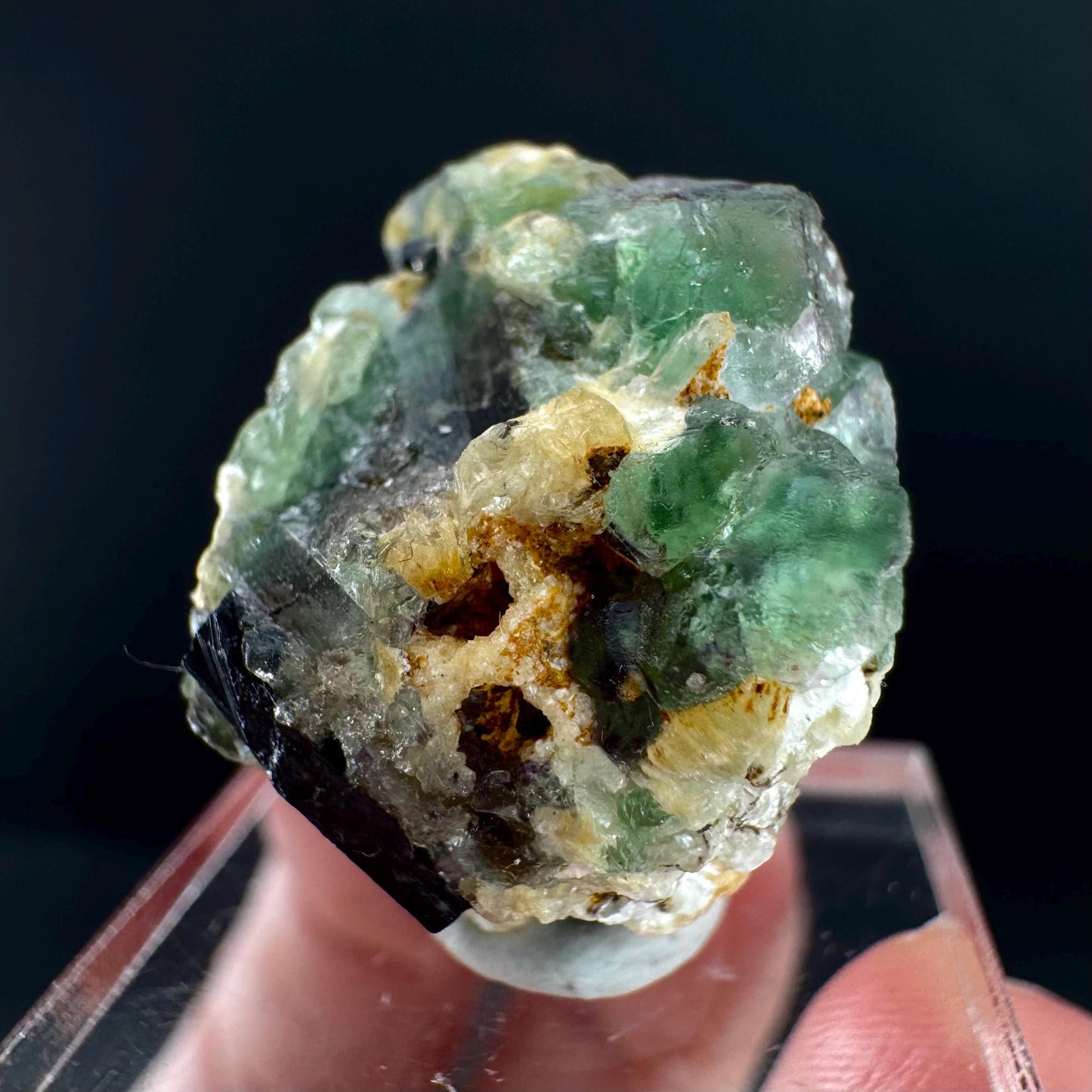 Fluorite w/ Schorl, & Muscovite | Lollipop Pocket, green crystal cluster, mineral specimen from Namibia