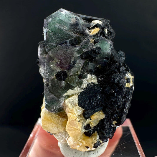 Fluorite w/ Schorl, & Muscovite | Lollipop Pocket, green crystal cluster, mineral specimen from Namibia