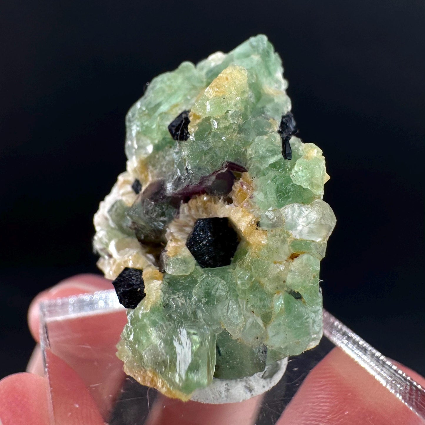 Fluorite w/ Schorl, & Muscovite | Lollipop Pocket, green crystal cluster, mineral specimen from Namibia