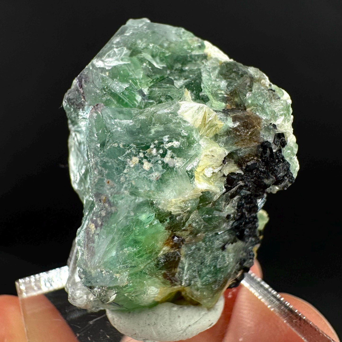 Fluorite w/ Black Tourmaline | Lollipop Pocket, green crystal, mineral specimen from Namibia