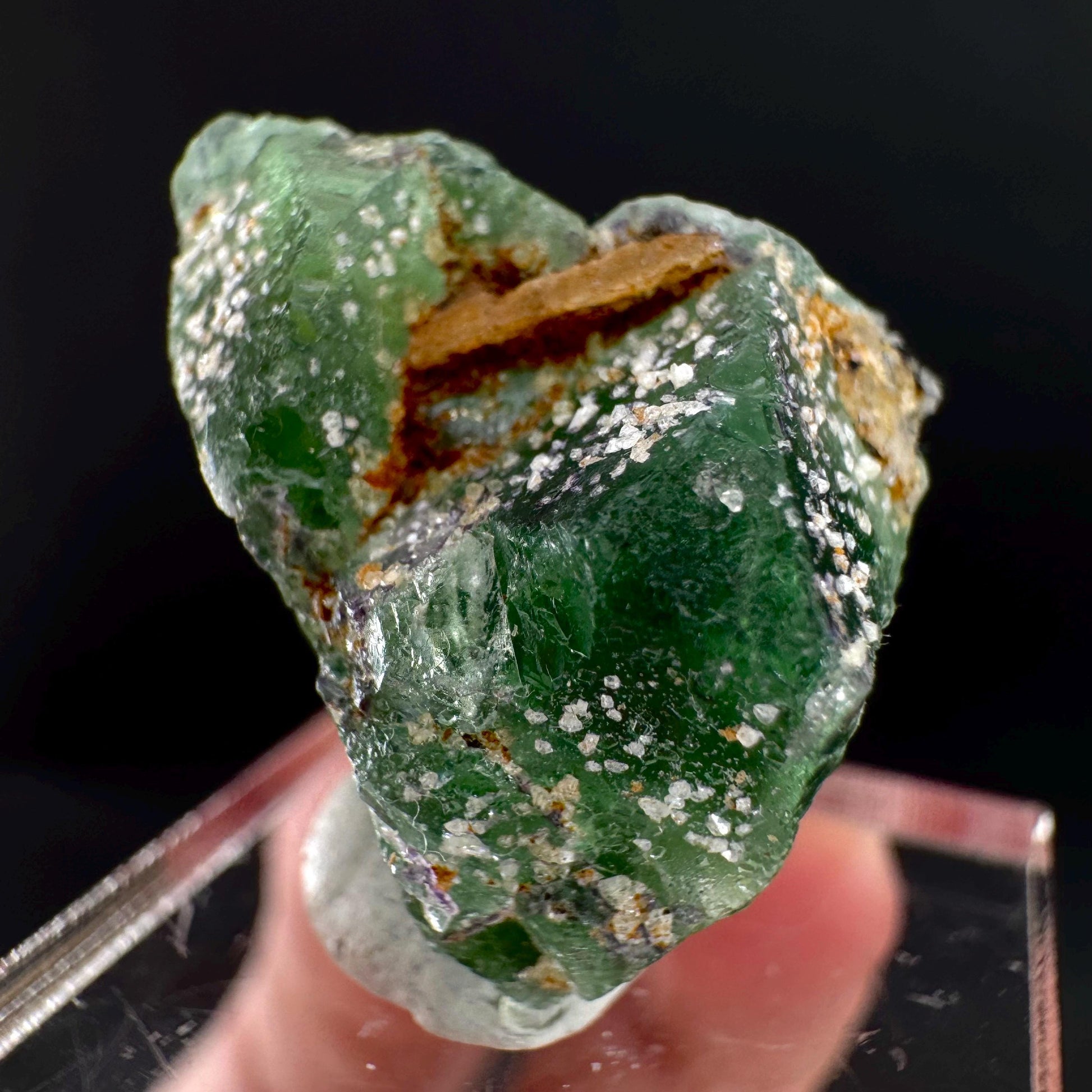 Fluorite w/ Schorl, & Muscovite | Lollipop Pocket, green crystal cluster, mineral specimen from Namibia