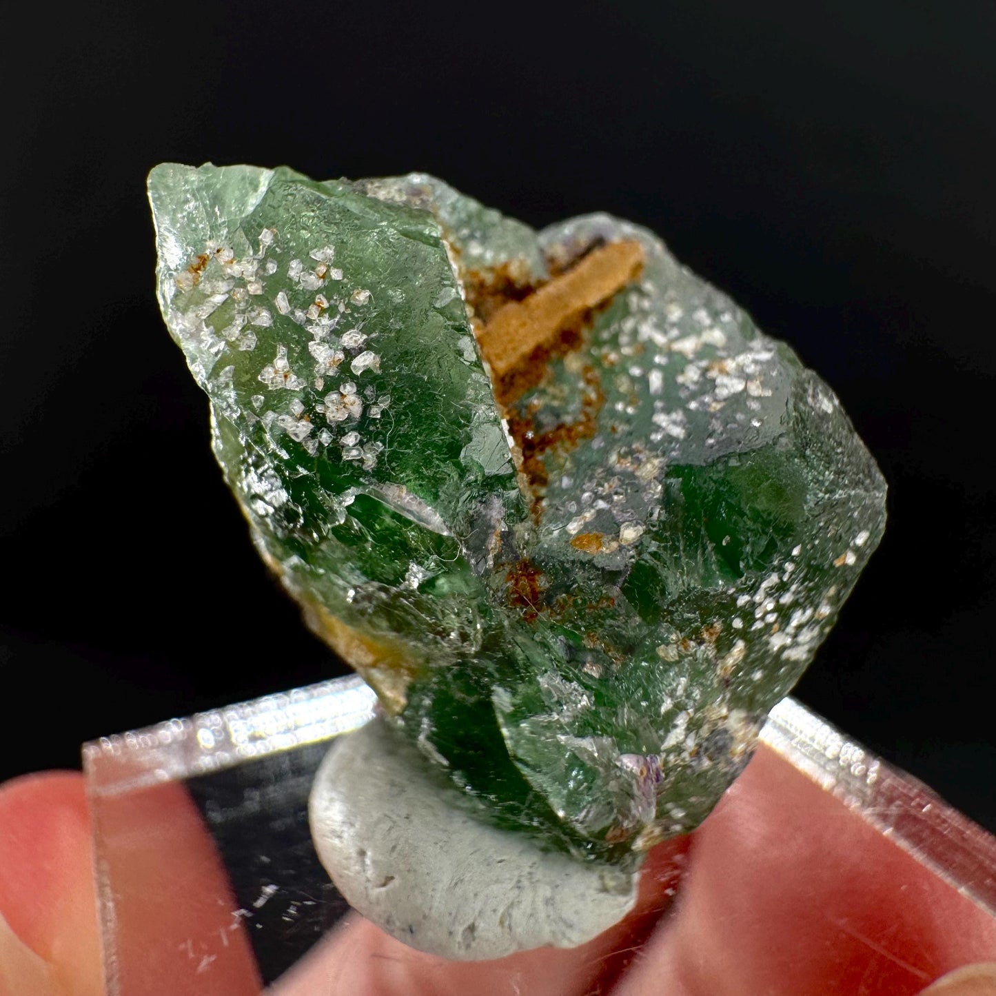 Fluorite w/ Schorl, & Muscovite | Lollipop Pocket, green crystal cluster, mineral specimen from Namibia