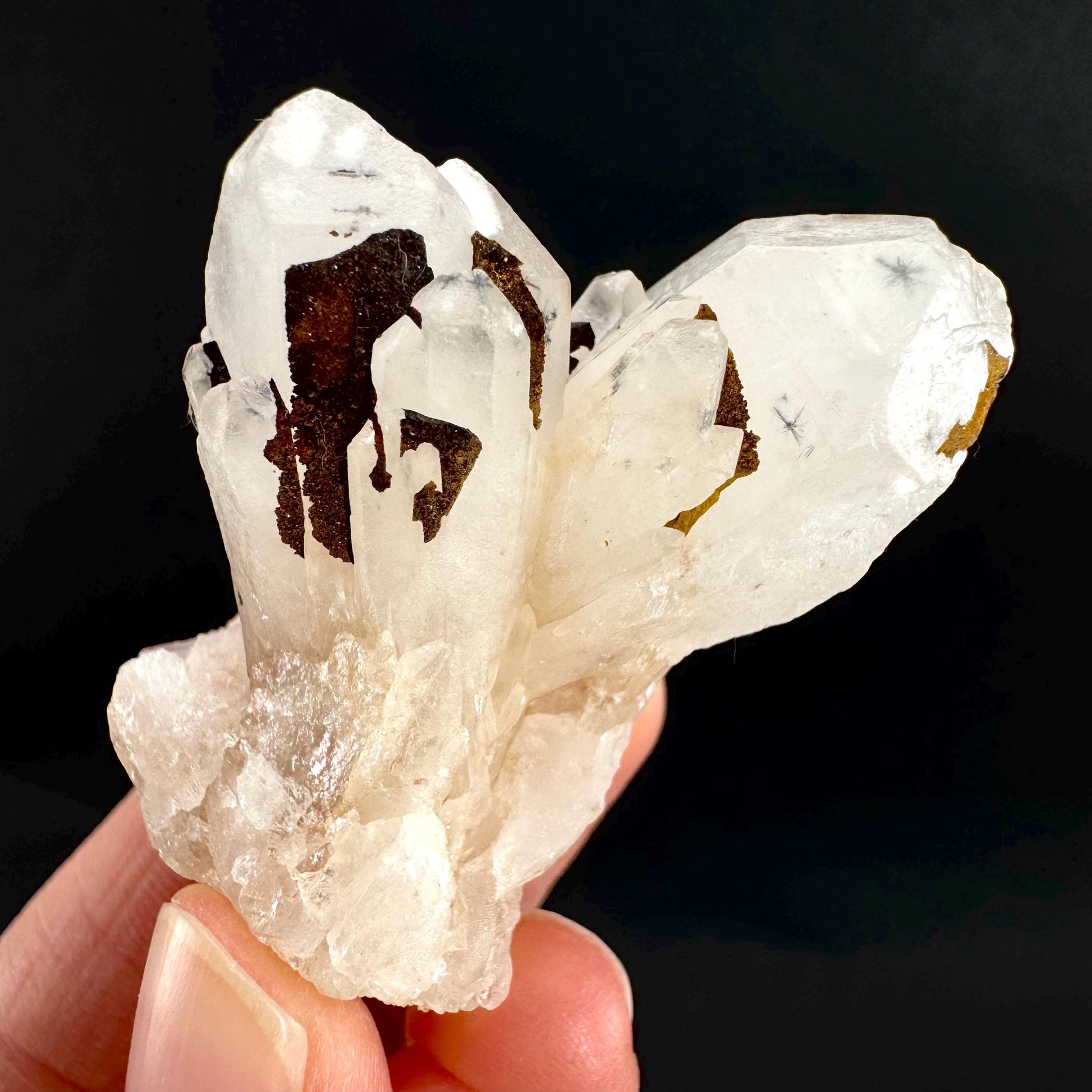 Hollandite Star Quartz | natural spider quartz crystal from Madagascar